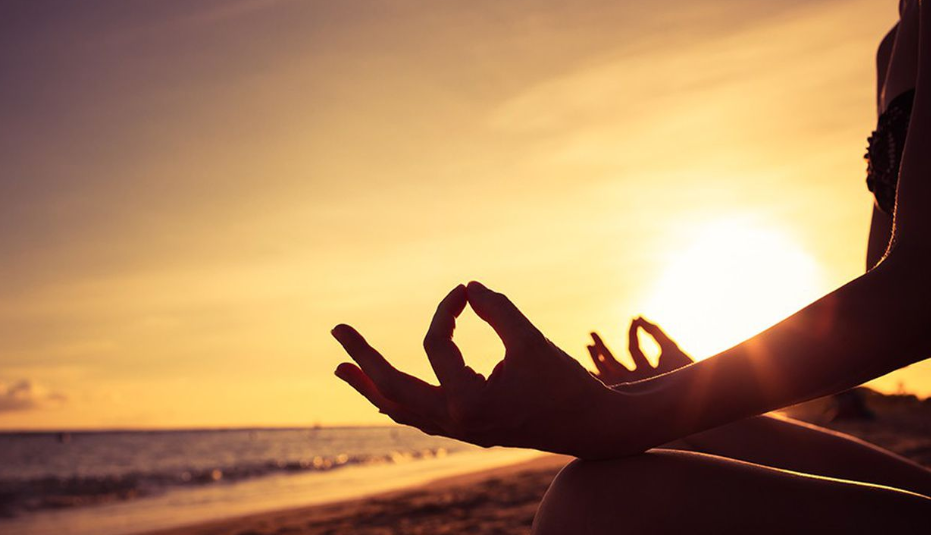 Featured image for “Volunteer Spotlight: Cultivating the Mind with Bhante Suyama”